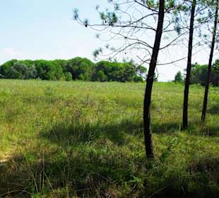 Ist schon ein Gebiet bis wann?