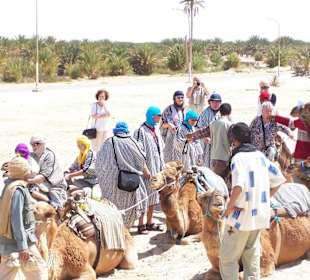 Jízda na velbloudech