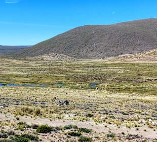 Pampa Cañahuas