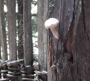 Wandern Ridnaun Ratschings