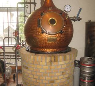 Brauhaus Hofgut Bornstedt