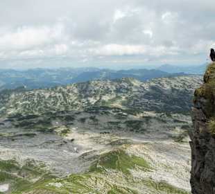 Blick v. Hohen Ifen