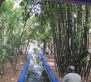 Jardin Majorelle