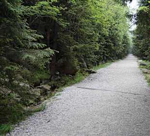 Karkonoski Park Narodowy