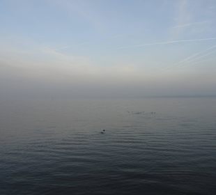 Morgenstimmung am Bodensee