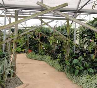 Raffeiner Orchideenwelt