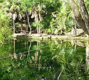 Baden in einer wunderschönen Cenote