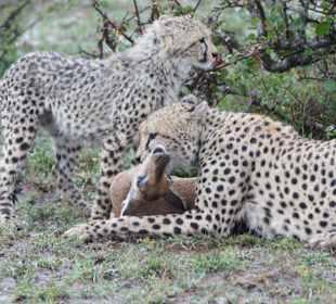 Jetzt bin ich erst mal dran