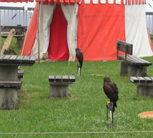 Burgruine Hohenneuffen