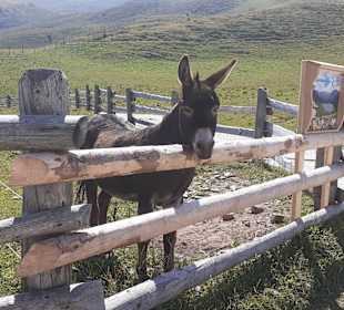 Wandern Ridnaun Ratschings