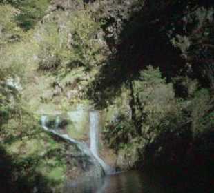 Naturparkzentrum Ruhestein