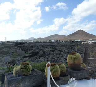 Fundacion Cesar Manrique