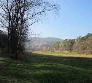 Der wunderschöne Sandwiesenweiher