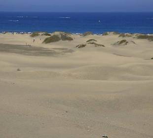 Dünenlandschaft