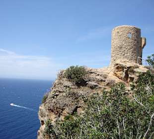 Ausflug entlang der Westküste