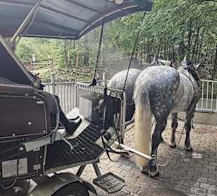 Pferdeshuttle zum Schloss