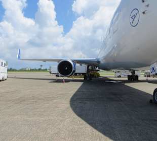 Es geht wieder nach Hause