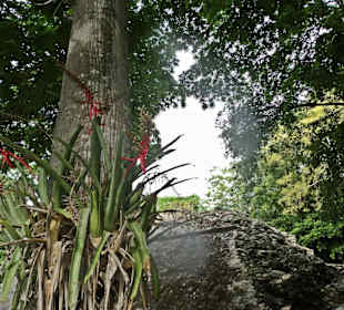 Cobá Ruinenstätte der Maya