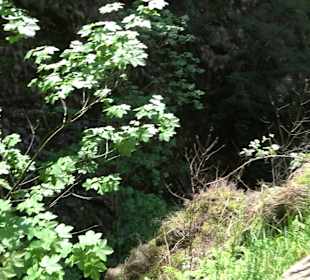 Wasserfälle Allerheiligen