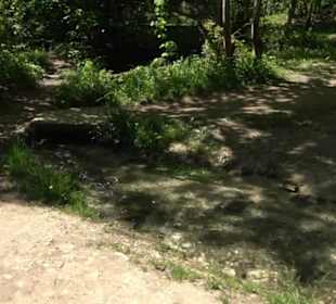 Oberer Gönninger See