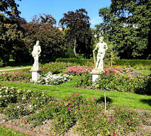 Spaziergang durch das Rosarium des Stadtgartens