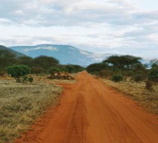 Nationalpark Tsavo Ost