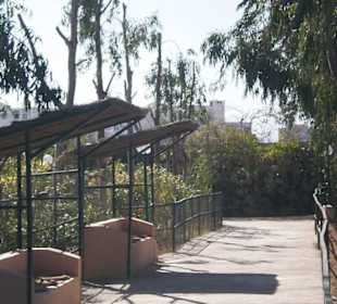 Gehwege mit Sitzgelgenheiten im Zoo