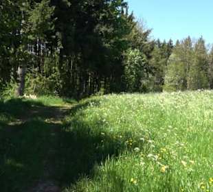 Magolsheimer Buchtalweg