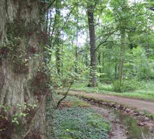 Auf dem Weg zum Dorf im Park.