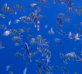 Mittendrinn statt nur dabei 