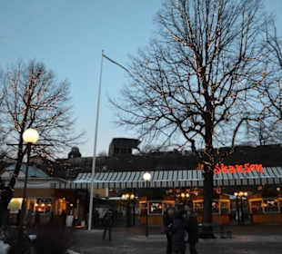 Freilichtmuseum Skansen