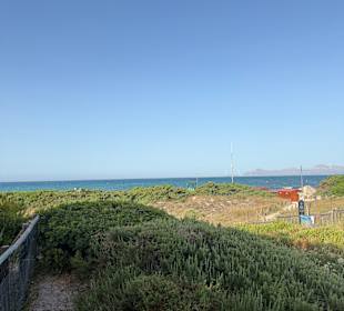 Strand