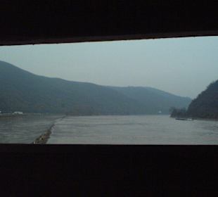 Aussicht auf den Rhein