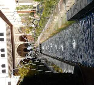 Dettaglio del giardino