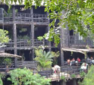 Shimba Lodge