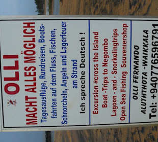 Ollis neueste Werbung am Strand