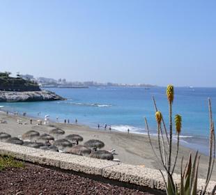 Blick zurück nach Las Americas