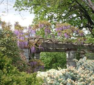 Viale del giardino botanico
