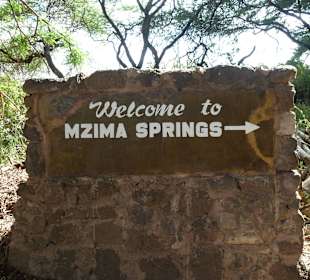 Mzima Springs
