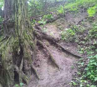 Wąwóz Świętej Królowej Jadwigi