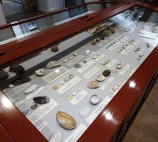 Naturwissenschaftliches Museum