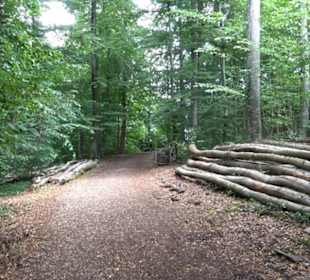 Hochgeträumt Premiumwanderung