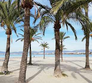 Strand El Arenal/S'Arenal