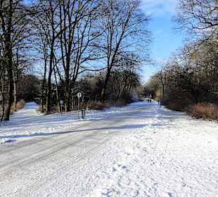 Winterspaziergang durch den Bürgerpark