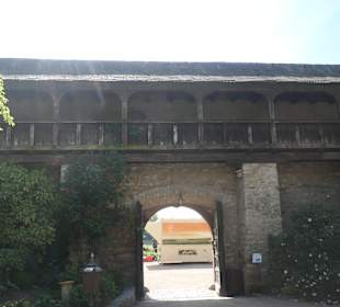 Die Kurfürstliche Burg Eltville