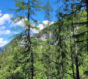 Dachstein