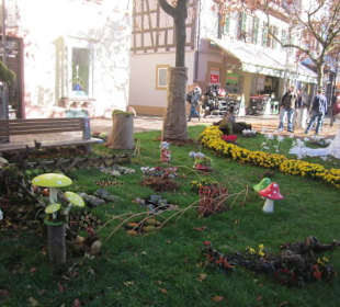 Chrysanthema Lahr