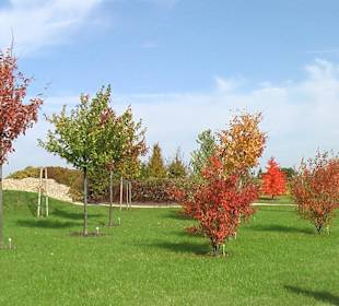 Freizeitpark Nochten