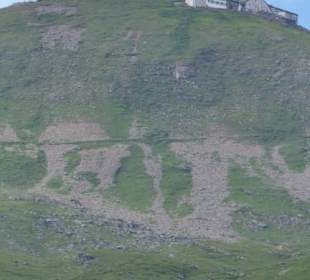 Blick hoch aufs Faulhorn vom Feld aus