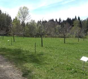 Premiumspazierwanderweg - Hochgehhütet